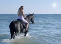 Horse woman in the sea Royalty Free Stock Photo