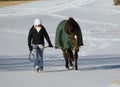 Horse And Woman In Snow