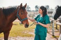 Horse, woman veterinary and medical exam outdoor for health and wellness in the countryside. Doctor, professional nurse Royalty Free Stock Photo
