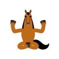 Horse yoga. Steed yogi isolated. hoss Relaxation and meditation. Vector illustration