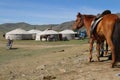 Horse and yurts