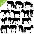 Horse and Zebra silhouettes vector Royalty Free Stock Photo