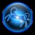Horse Zodiac icon