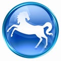 Horse Zodiac icon blue