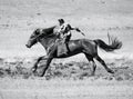 On horseback across the steppe