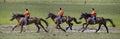 On horseback across the steppe