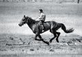 On horseback across the steppe