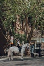 Horseback police guards patrolling empty street in Covent Garden, London, UK