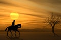 Horseback Ride at Sunset