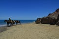 Horseback ride to the seaside on a sunny day