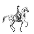 Horseback rider man and dapple grey horse. Black and white monochrome watercolor or ink hand drawing illustration.