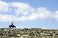 Horseback rider on mountain ridge