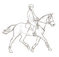 Horseback rider drawing on white, hand drawn illustration on equestrian sports theme, horse and young female sketch