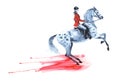 Horseback rider in red jacket and rearing dapple grey horse. Watercolor hand drawing fluid blot drop blob wet texture.