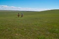 Horseback riders in grassland