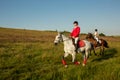 Horseback riders. Two attractive women ride horses on a green meadow