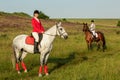 Horseback riders. Two attractive women ride horses on a green meadow