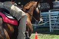 Horseback riding Royalty Free Stock Photo