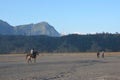 Horseback riding as a means of transportation for tourists in the Mount Bromo area.