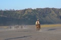 Horseback riding as a means of transportation for tourists in the Mount Bromo area.