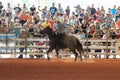 Cowboy horseback riding at the rodeo