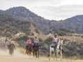 Horseback riding in Hollywood Hills trail Royalty Free Stock Photo