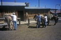 Horseback riding, Lakeview, MT