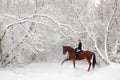 Horseback riding in scenic winter snowfall Royalty Free Stock Photo