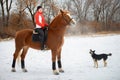 A girl rider trains riding on her horse in the snowy winter Royalty Free Stock Photo