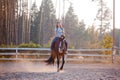 Horseback riding Royalty Free Stock Photo