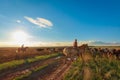 On horseback shepherds graze cows Royalty Free Stock Photo