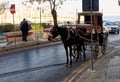 Horsedrawn Carriage in Valletta - Malta Royalty Free Stock Photo