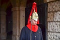 Horseguard of Blues Royals London England