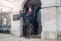 Horseguard