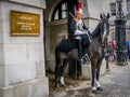 The Horseguardsman Royalty Free Stock Photo