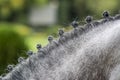 Horsehair arranged Royalty Free Stock Photo