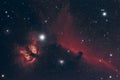 Horsehead and Flame Nebula Royalty Free Stock Photo