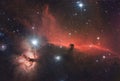 Horsehead and Flame Nebula real photo