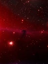 Horsehead Nebula Royalty Free Stock Photo