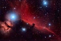 Horsehead Nebula Royalty Free Stock Photo