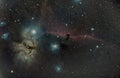 Horsehead Nebula, astomy and space.