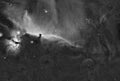 Horsehead Nebula Complex - Widefield Royalty Free Stock Photo