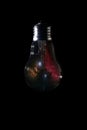 Horsehead Nebula inside of light bulb on dark Royalty Free Stock Photo