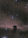 The Horsehead Nebula from my backyard.