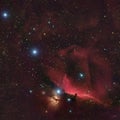 Horsehead nebula in Orion Royalty Free Stock Photo