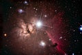 Horsehead nebula in Orion Royalty Free Stock Photo