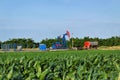 Horsehead oil pump in the middle of a corn farm