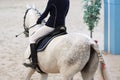 Horseman on a beautiful white horse rides around obstacles, motion blur, focus on horse-tail