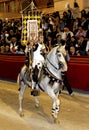 Horseman dressed like an antique Roman legionnaire soldier riding a beautiful white horse