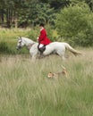 Horseman with a English Pointer dog in the field